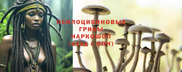 скорость Алзамай