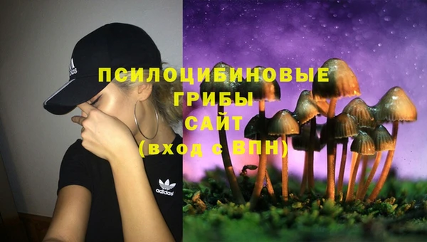 МДПВ Алексеевка