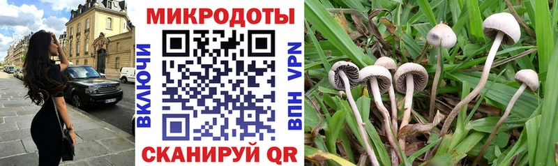 Псилоцибиновые грибы мицелий  Купить закладки  Фролово 