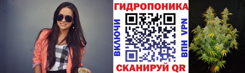 Бошки Шишки ГИДРОПОН  Купить где  Фролово 